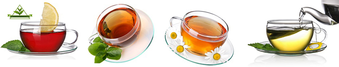 فروش عمده انواع چای