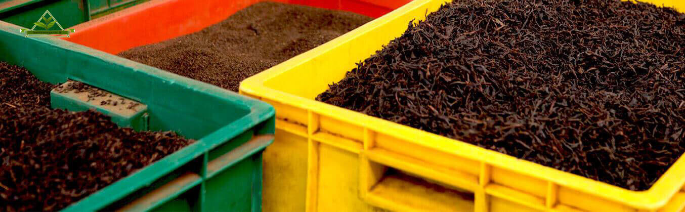 صادرات چای سیاه