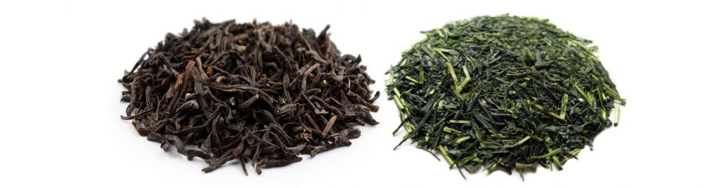 پخش چای سیاه و چای سبز شمال