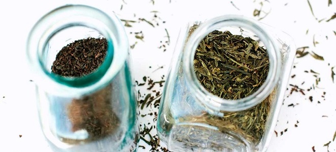 انواع چای بازار خرید چای شمال