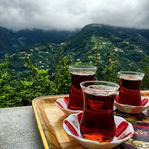 خرید چای سرگل ایرانی