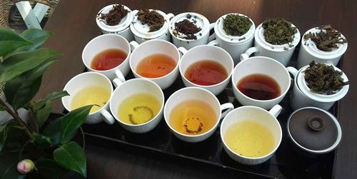 انواع چای صادراتی ایرانی