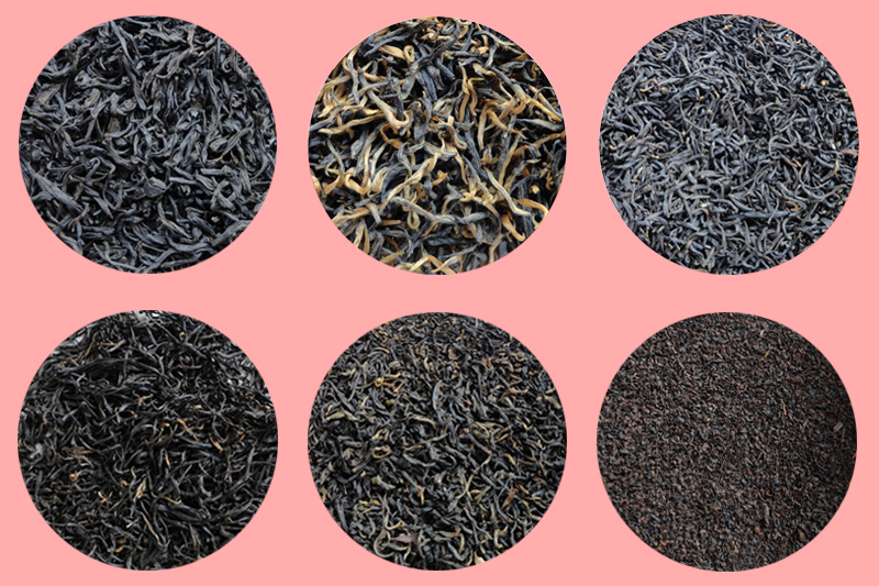 انواع چای سیاه شمال