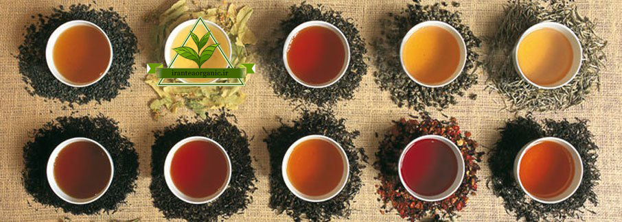 فروش چای فله به قیمت کیلویی