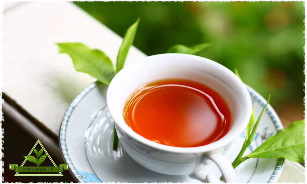 چای سنتی شمال