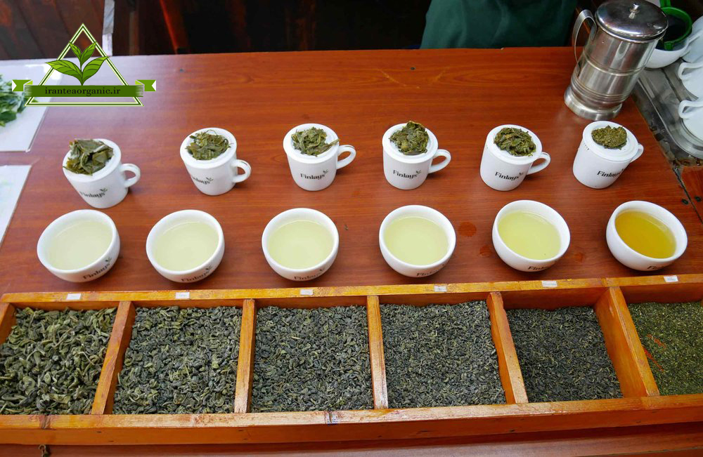 قیمت فروش چای سبز