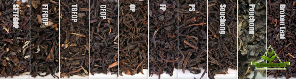 اسامی چای گیلان در بازار