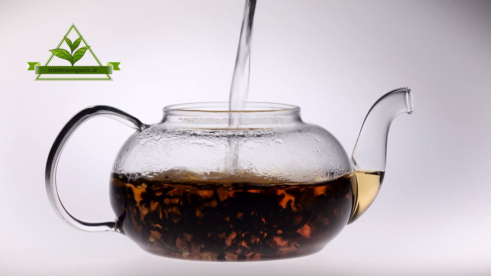 قیمت چای باروتی ایرانی