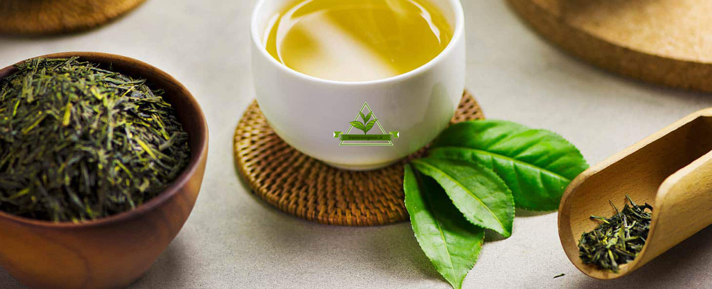 فروش چای سبز لاهیجان