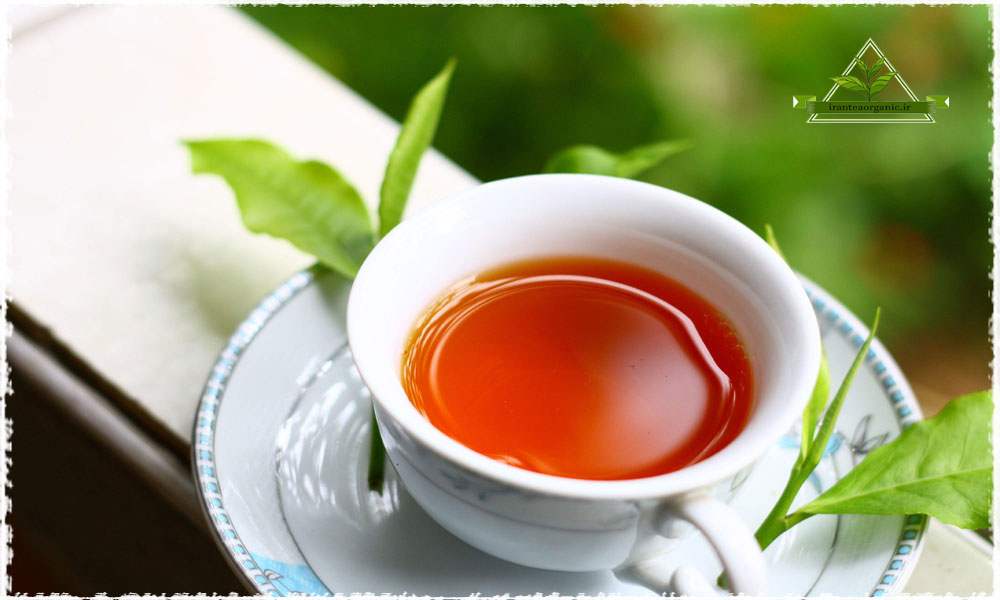 چای لاهیجان اصل
