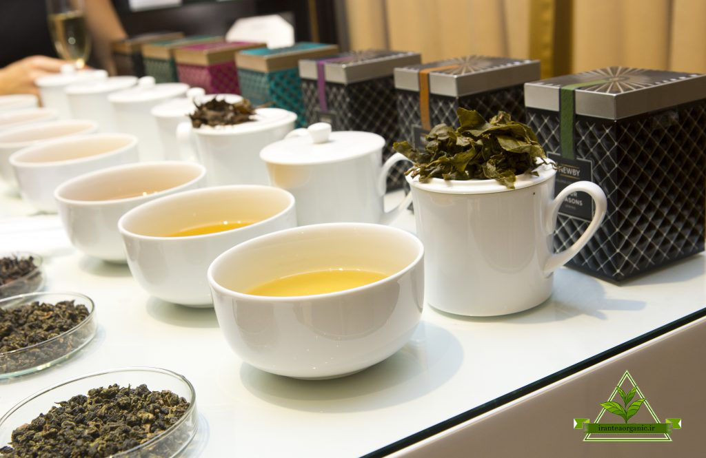 مرکز فروش انواع چای سبز