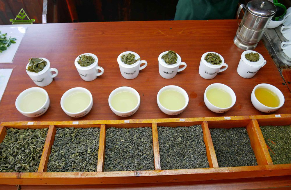 خرید اینترنتی انواع چای سبز شمال