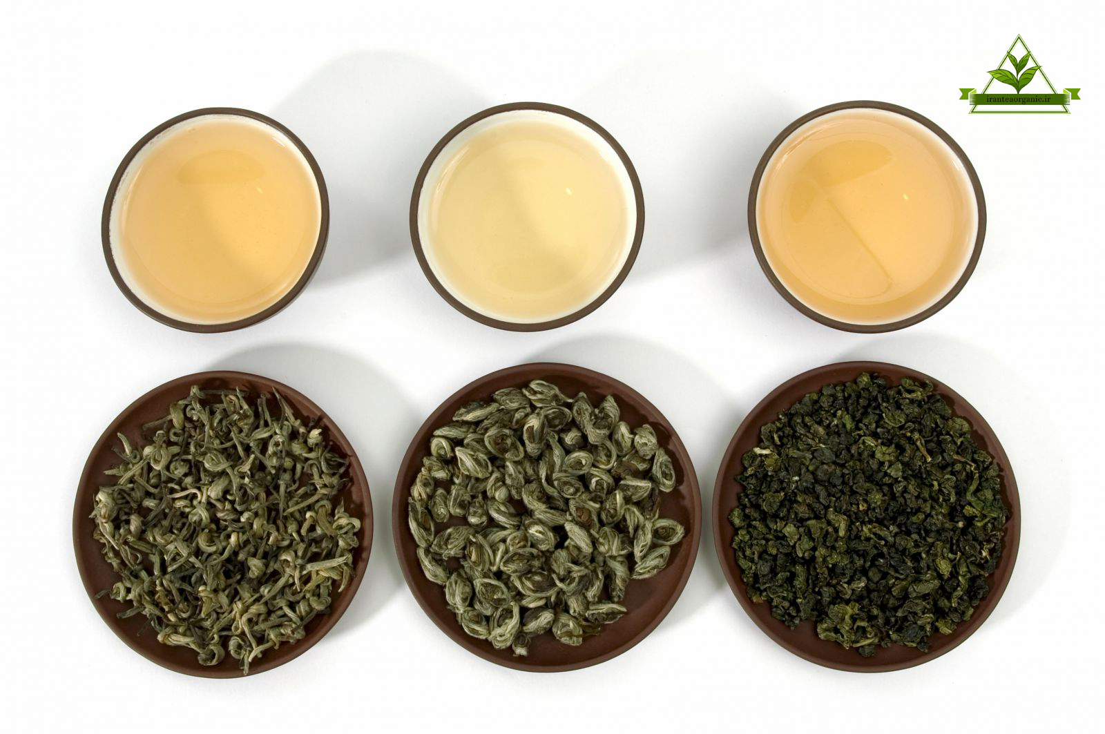 بهترین انواع چای سبز شمال