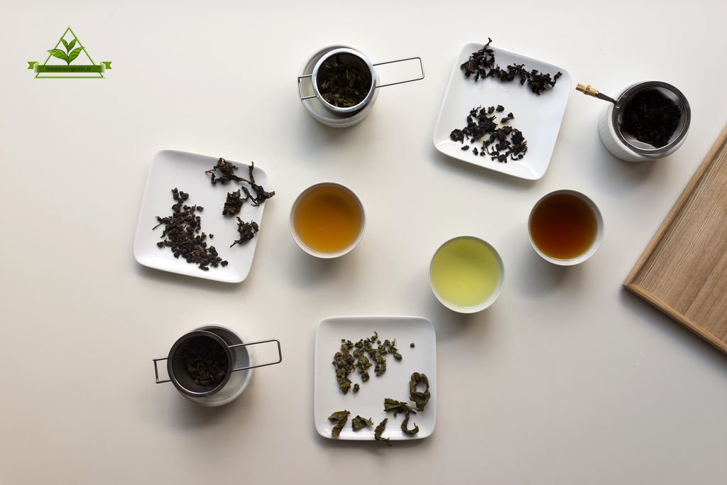 صادرات چای لاهیجان