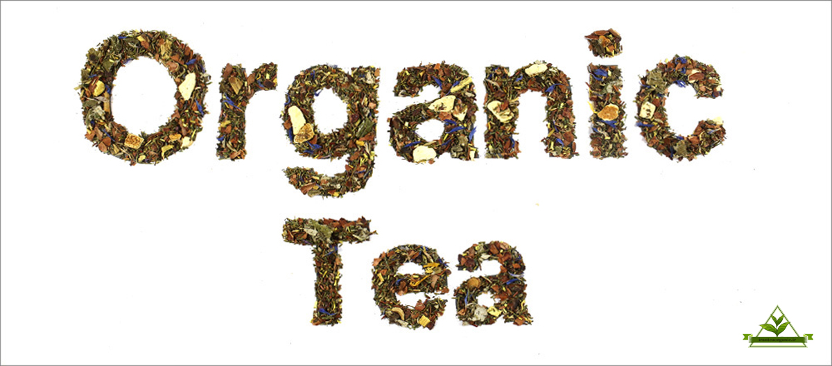 چای ارگانیک لاهیجان
