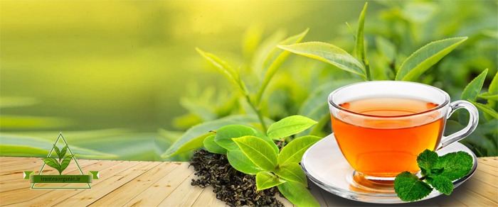 صادرات چای شمال ایرانی