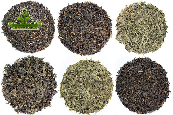 خرید و فروش انواع چای سیاه و چای سبز اصل لاهیجان