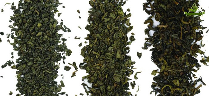 انواع چای سبز ایرانی