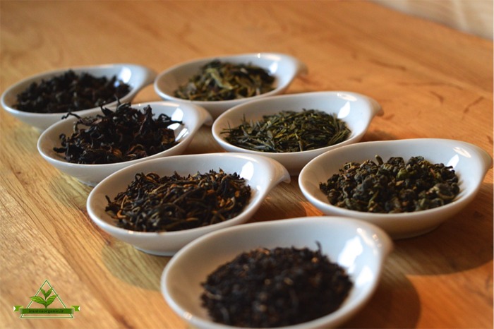 قیمت فروش انواع چای سیاه و چای سبز