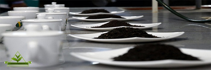 فروش چای سیاه ایرانی خوب