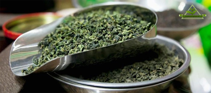 چای سبز سرگل