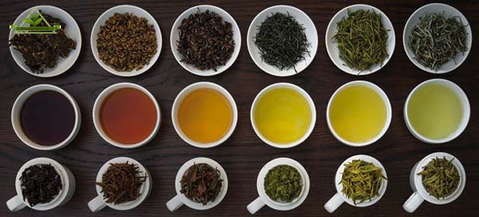 فروش انواع چای