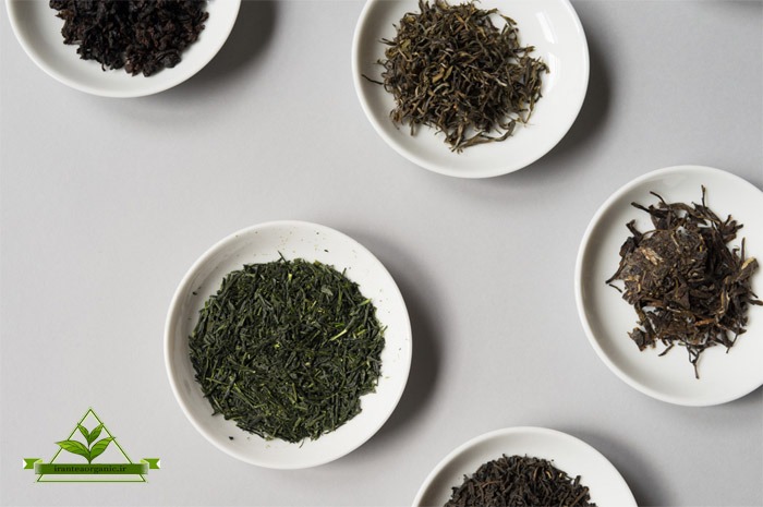 انواع چای ارگانیک