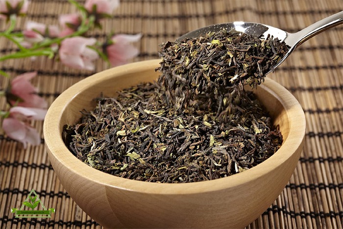 صادرات چای گیلان