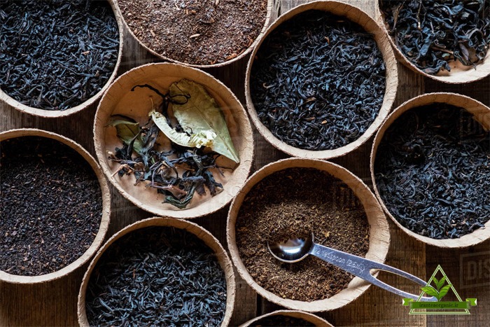 پخش چای طبیعی و بدون اسانس در بازار