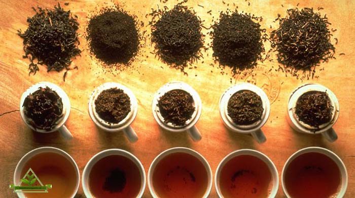 فروش چای ایران