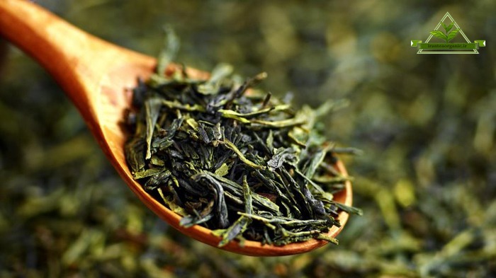 قیمت چای سبز گیلان