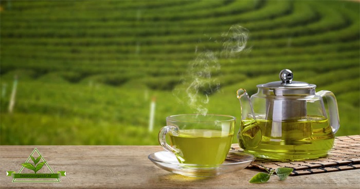 چای سبز طبیعی