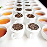 چای گیلان
